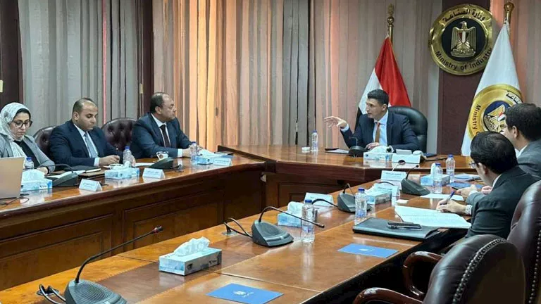 وزير الصناعة يُكلف بحصر المصانع المغلقة بالصعيد