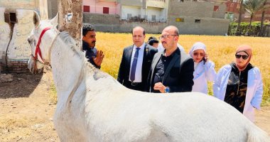 محافظ الدقهلية: قوافل طبية بيطرية مجانية تقديم أكثر من 3 آلاف خدمة علاجية