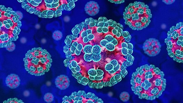 فيروس هانتا، كيف تتحول الحمى البسيطة إلى فشل تنفسي قاتل خلال أيام؟