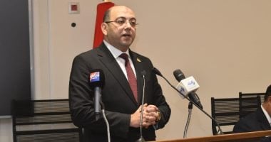 العطيفى: التنمية الزراعية وتعزيز الأمن الغذائى من أهم إنجازات جمهورية 30 يونيو
