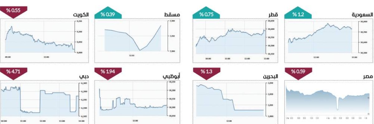 2.3 مليار درهم سيولة الأسهم.. و«سالك» يستحوذ على 58.6 % من سيولة دبي
