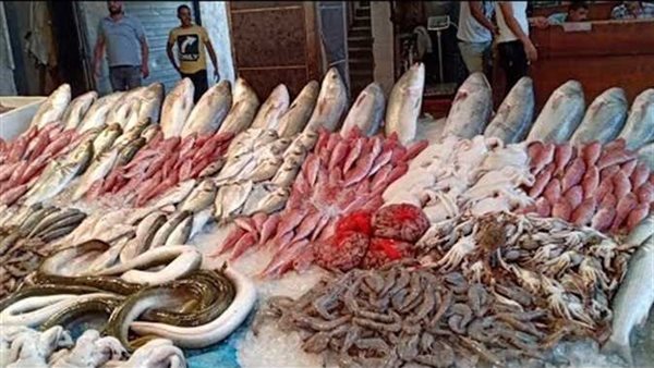 سعر السمك اليوم، قفزة في الجمبري وقشر البياض وانخفاض المكرونة 10 جنيهات