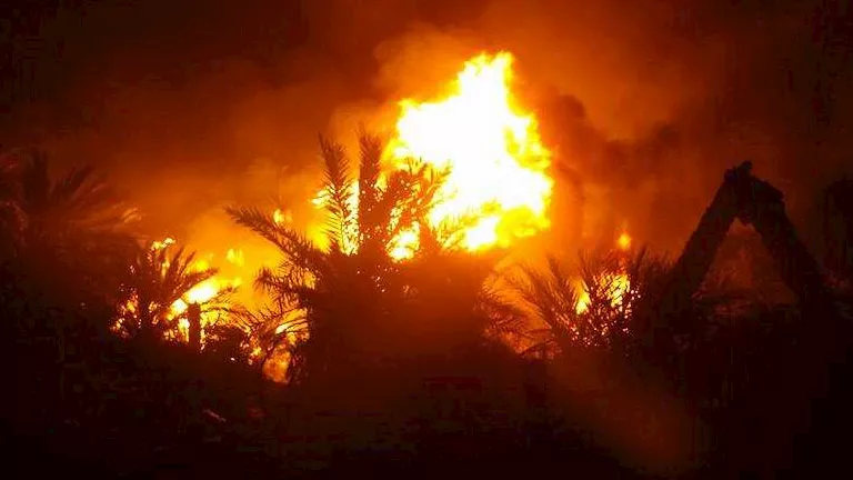 السيطرة على حريق مزرعة نخيل في الوادي الجديد