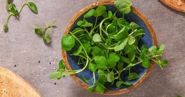 خبراء اعتبروه أعلى الخضراوات قيمة غذائية
