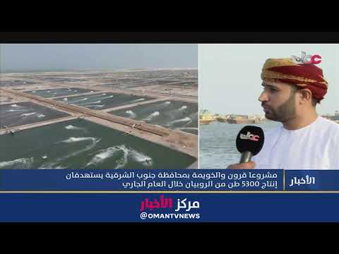 بث مباشر | نشرة أخبار الخامسة مساء