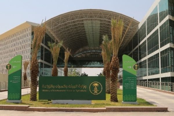 لتعزيز السلامة النباتية.. اشتراطات جديدة لاستيراد الشتلات الزراعية إلى المملكة