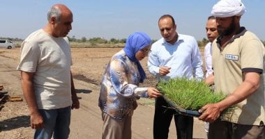 كلية الزراعة بجامعة بنها تدشن موسم الأرز بالمزرعة البحثية