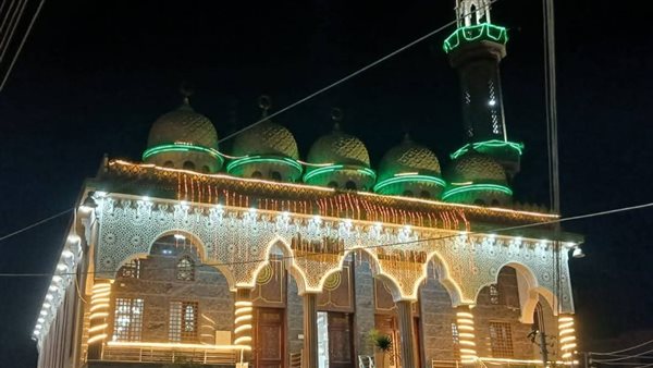 الشوارع تحولت إلى معرض فني مفتوح والأنوار عانقت المآذن، قرى الدقهلية تتزين لاستقبال رمضان (صور)