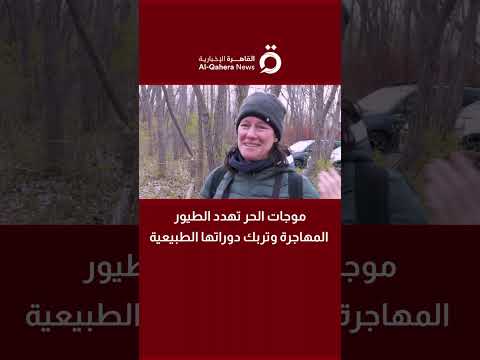 موجات الحر تهدد الطيور المهاجرة وتربك دوراتها الطبيعية