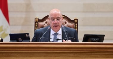 رئيس النواب يستعرض رد التأمينات بشأن تعطل المنظومة