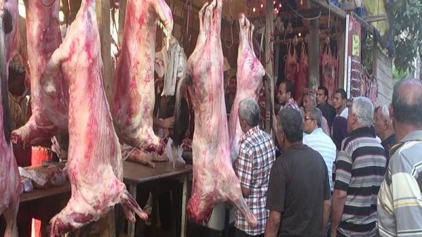 زكاة الفطر 2026..هل يجوز إخراجها لحمًا؟..الإفتاء تجيب