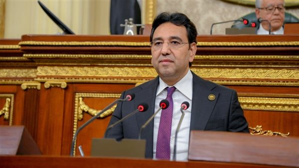 برلماني: إنشاء مركز توزيع لوجيستي عالمي ينقل مصر من دولة عبور لمركز لإدارة التجارة الدولية