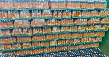 صحة القليوبية تضبط 5000 زجاجة عصير مانجو مجهولة التداول داخل مصنع غير مرخص