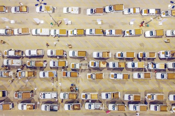 المملكة تُعزّز سيطرتها على أسواق التمور العالمية بملياري ريال