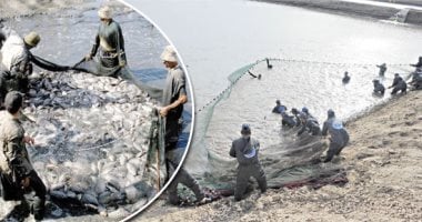 القانون يحظر وضع أجسام صلبة بالبحيرات