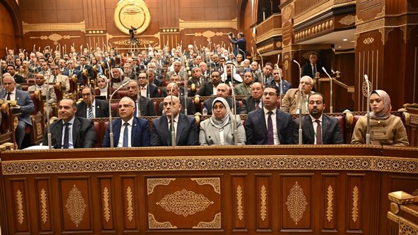 ضوابط مناقشة خطة التنمية أمام مجلس الشيوخ