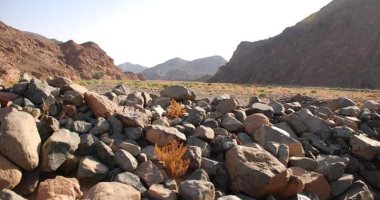 القطار والدخان ومليحة.. مناطق جبلية وآثارية تتصدر مشهد سياحة السفارى بالبحر الأحمر.. آثار رومانية وطبيعة نادرة.. ووجهات مميزة للمهتمين بالمشى بين القمم والاستمتاع بالطبيعة الخلابة والتاريخ