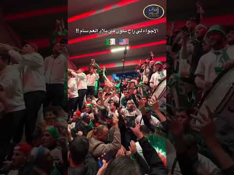 هكذا ستجع الجماهير الجزائرية الخضر في مونديال أمريكا #شاهد #الجزائر #اكسبلور