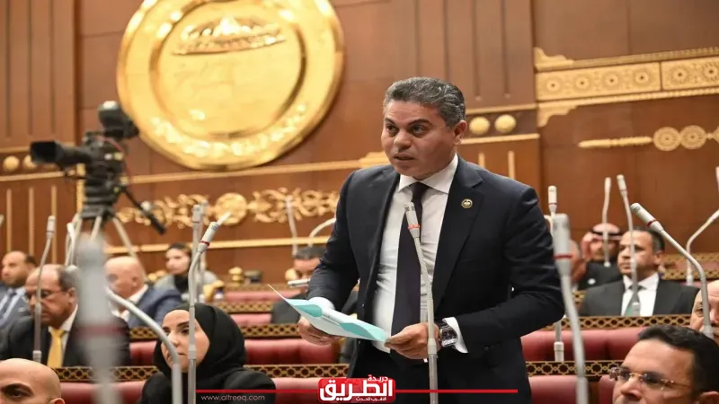 النائب مجدي البري: تحويلات المصريين بالخارج تقفز إلى 34.9 مليار دولار خلال 9 أشهر