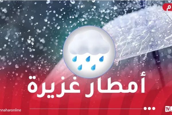 تتعدى 60 ملم.. أمطار غزيرة على هذه الولايات