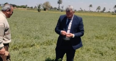 أشهرها النعناع البلدى والفلفل الألمانى والأرجانو التركى.. المنيا تستعد لموسم حصاد النباتات الطبية والعطرية.. وكيل وزارة الزراعة: لدينا أنواع جديدة للتصدير.. تلعب دورا حيويا فى تنشيط ودفع عجلة الاقتصاد