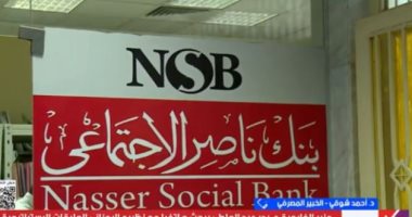 خبير مصرفي: طفرة في صافي الأصول الأجنبية تدعم استقرار الاقتصاد