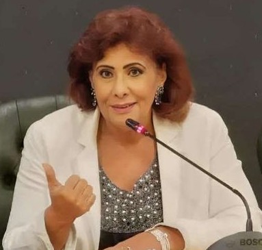 المأزق التشادي في الحرب السودانية