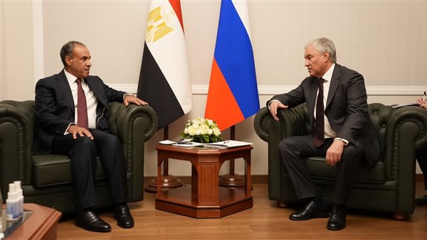 وزير الخارجية: مجلس الدوما الروسي شريك رئيسي في دعم مشروعات الطاقة والأمن الغذائي