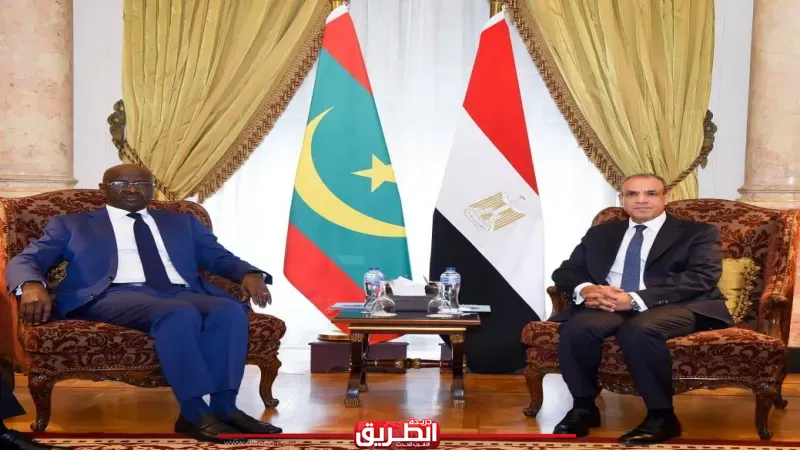 وزير الخارجية يعقد جلسة مباحثات مع نظيره الموريتاني لتطوير أطر التعاون الثنائي