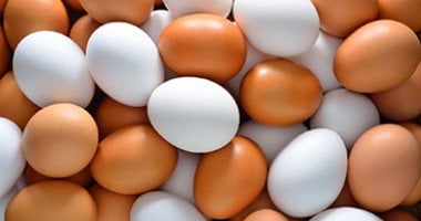كرتونة البيض بـ 120 جنيه.. أسعار البيض بكفر الشيخ الجمعة 20 فبراير 2026