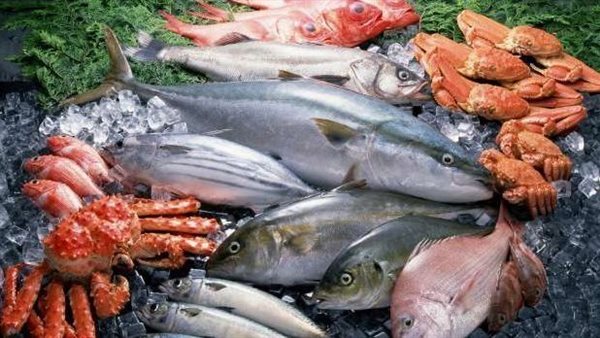 سعر السمك اليوم، البلطي والبوري يصالحان المصريين في رمضان وارتفاع المكرونة والجمبري