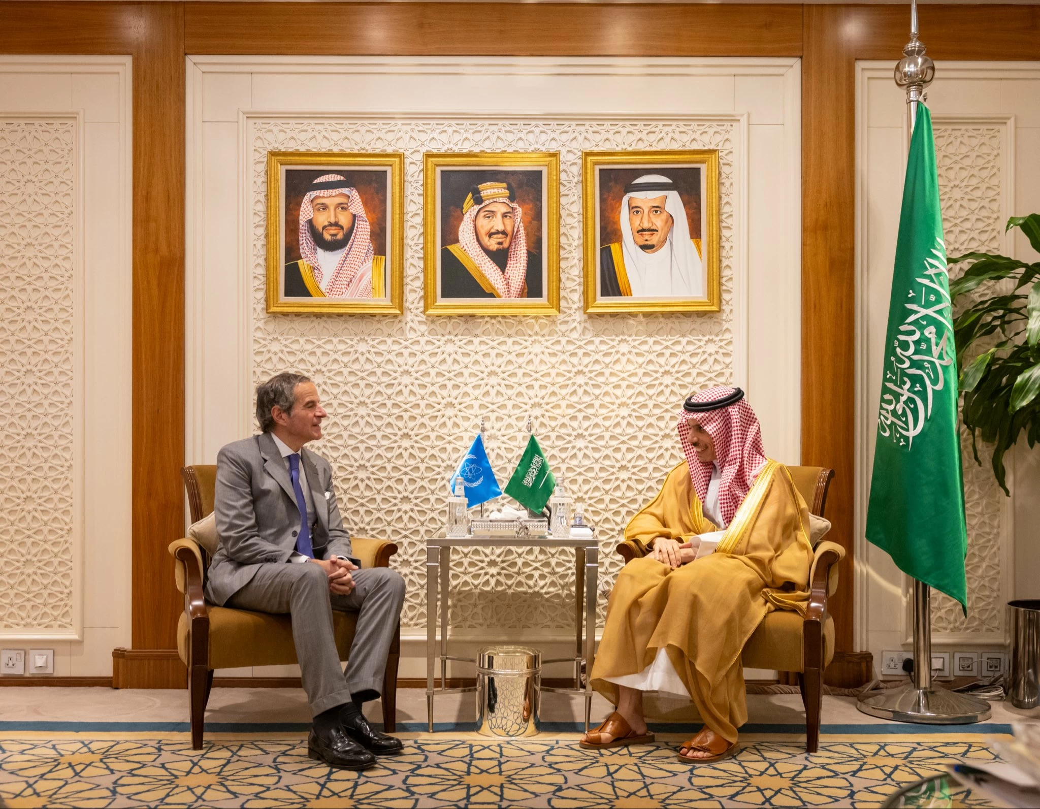 وزير الخارجية يستقبل مدير عام الوكالة الدولية للطاقة الذرية