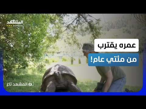 جوناثان بـ194 عاماً..غينيس تحتفي بأكبر معمر على وجه الأرض!