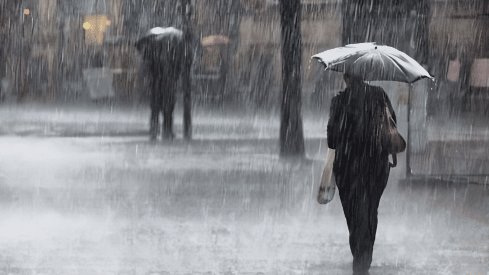 أمطار رعدية غزيرة على 21 ولاية