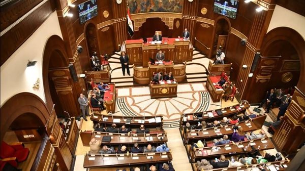 مقترح برلماني لإنشاء هيئة متخصصة لإدارة واستثمار الخامات المصرية