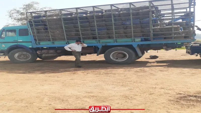 مديرية تموين قنا: ضخ 30 ألف أسطوانة بوتاجاز بالمحافظة