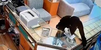 الداخلية: ضبط متهمين بارتكاب سطو مسلح على محل مجوهرات في جليب الشيوخ