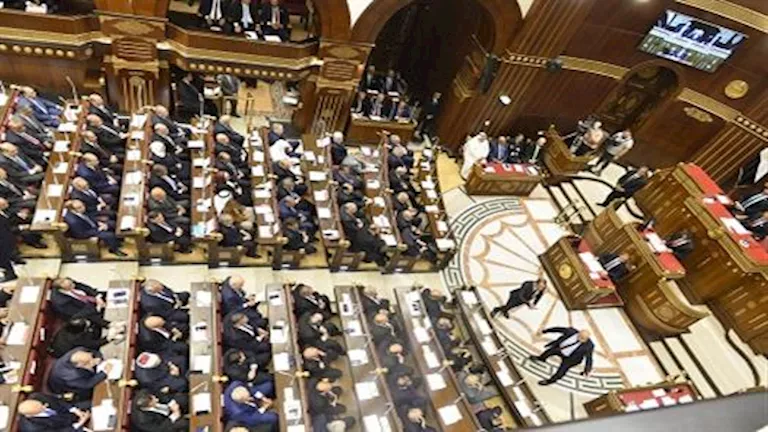 رئيس برلمانية الوفد: هل المدارس اليابانية هدف أم "زرار في الجاكيت"؟