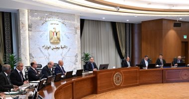 الحكومة تستعد بخطة عمل واضحة لتفعيل وتوسيع أطر التعاون مع دول القارة الأفريقية