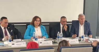 إيهاب الطماوى: مشروع قانون الأسرة للمسيحيين عمل تاريخى لم تشهده مصر من قبل