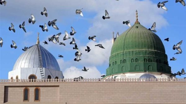 أحمد فرحات: حب آل البيت عبادة.. والاقتداء بهم طريق القرب من الله