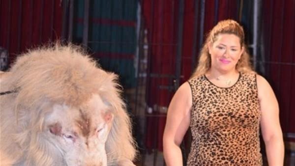 حادث مرعب.. القصة الكاملة لهجوم شبل أسد على طفلة في السيرك القومي