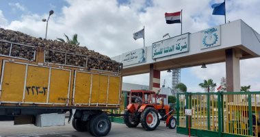 بعد خسارة نصف تريليون جنيه..أكبر شركة سكر تطالب بحمايتها من الاستيراد