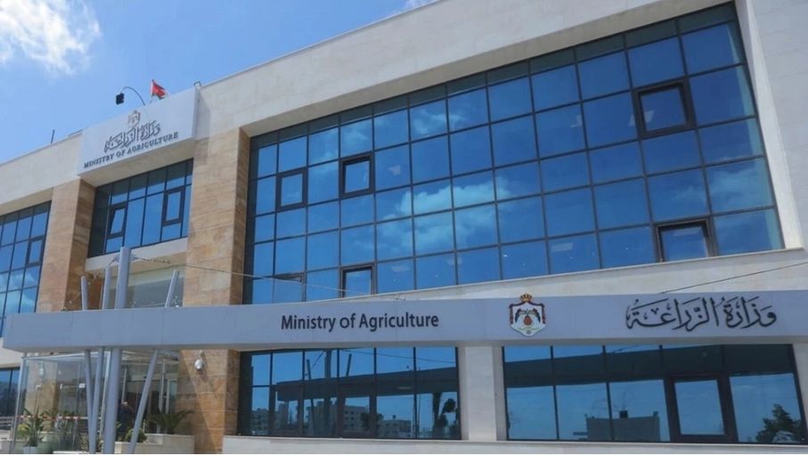"الزراعة" توضح حول رفض السلطات العراقية شحنة عجول مستوردة من كولومبيا