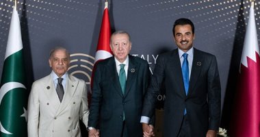 أمير قطر ورئيس تركيا يعربان عن دعمهما لجهود رئيس وزراء باكستان