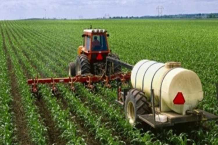 الفلاحة المغربية تتأهب لنمو قياسي بنسبة 14,4% ومحصول حبوب يناهز 82 مليون قنطار