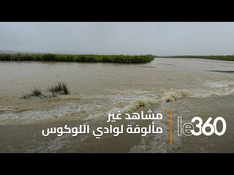 استمرار ارتفاع منسوب مياه وادي اللوكوس