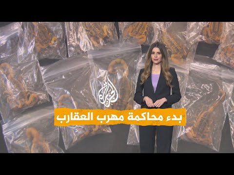 شبكات | توقيف شخص في جنوب إفريقيا حاول تهريب 150 عقرباً حياً