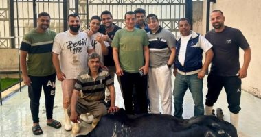 إيهاب توفيق يشارك جمهوره أجواء العيد والأضحية