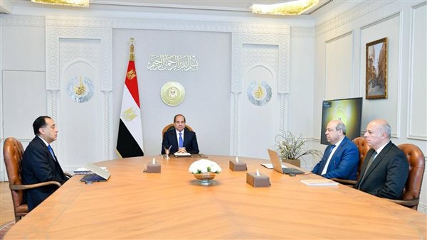 الرئيس السيسي يؤكد ضرورة تنفيذ رؤية شاملة تستهدف توسعة الأسطول الجوي وتحسين كفاءة التشغيل